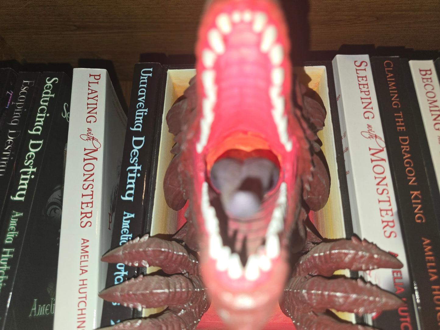 Dragon book nook