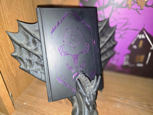 Reading dragon book display